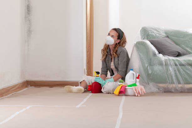Reliable Mold Remediation contractor in Oakland, OR by WQB Mold Removal